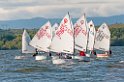 D2013-027-190u
