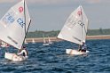D2013-027-196u