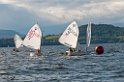 D2013-027-233u
