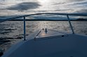 D2013-027-295u