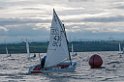 D2013-027-337u