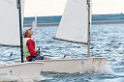 D2013-027-381u
