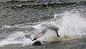 WD2008-006-006