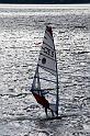 WD2008-007-028