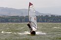 D2009-036-131