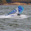 D2009-037-295