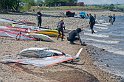 D2011-007-0153