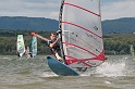 D2012-015-295u